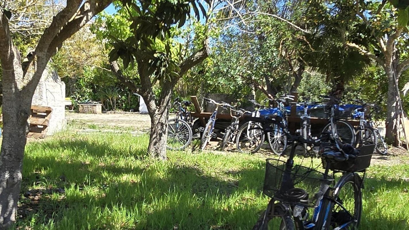 Alghero In Bicicletta Exterior foto